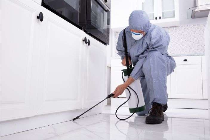 Residential Pest Control Services
