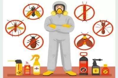 General Pest Control Services